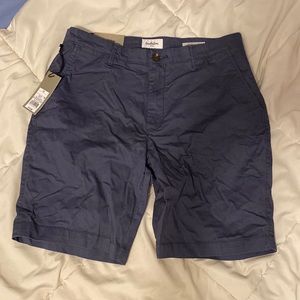Goodfellow & co shorts, waist 32